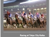 tokyocitykeiba2