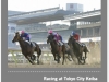 tokyocitykeiba6