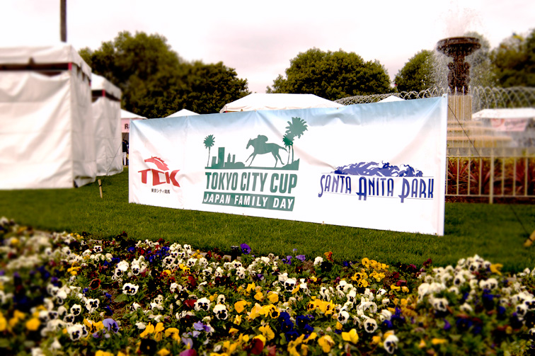 TCC BANNER